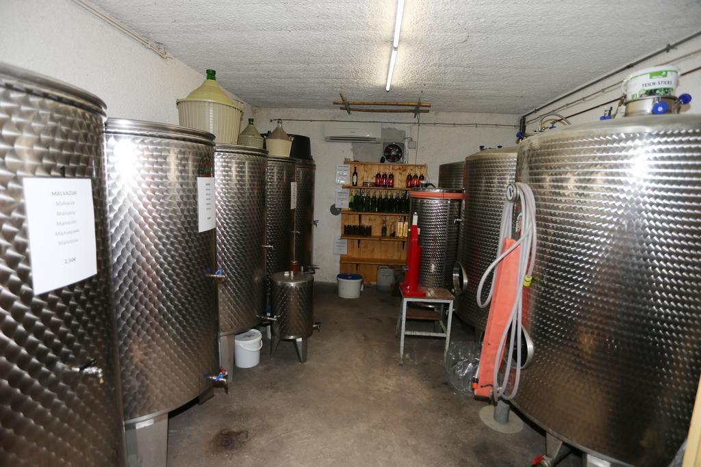 Mejak & Bordon Villa Secovlje Ngoại thất bức ảnh
