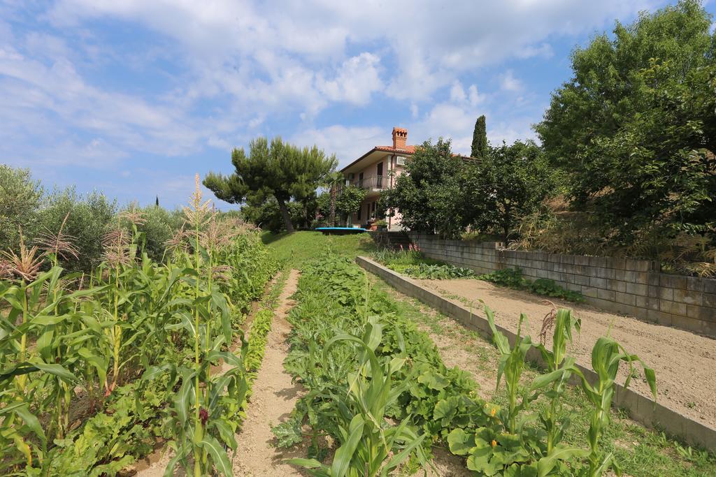 Mejak & Bordon Villa Secovlje Ngoại thất bức ảnh